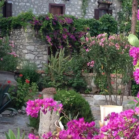 Medusa House Butik 3* Didim