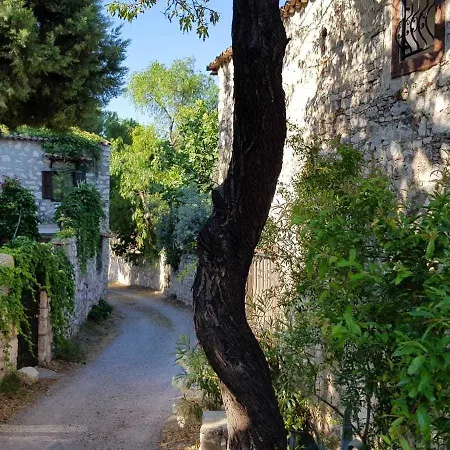 Pensionat Medusa House Butik