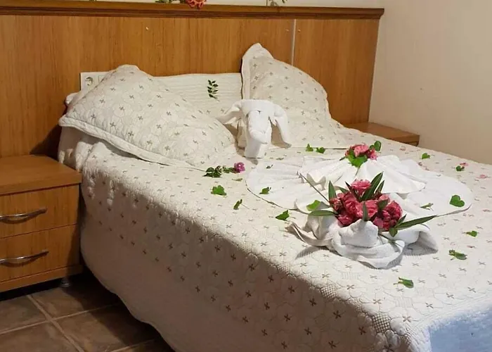 Medusa House Butik