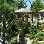 Medusa House Butik 3*