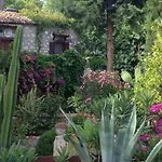 Medusa House Butik Guest house Didim