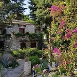 Medusa House Butik Guest house