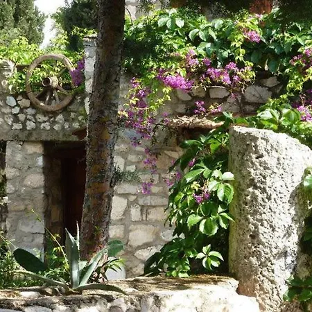 Medusa House Butik Konukevi