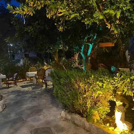 Πανσιόν Medusa House Butik 3*