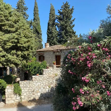 Pensionat Medusa House Butik *