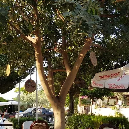 Medusa House Butik Konukevi Didim