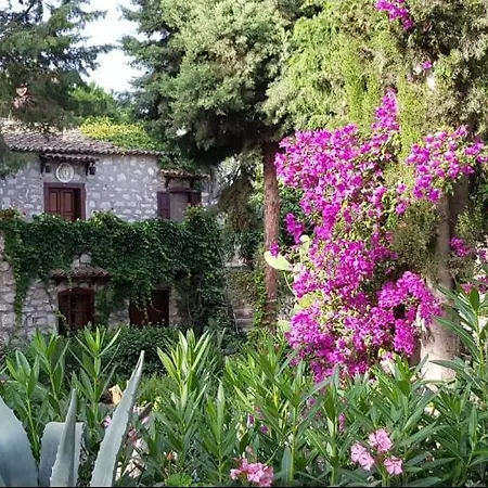 Medusa House Butik Konukevi Didim