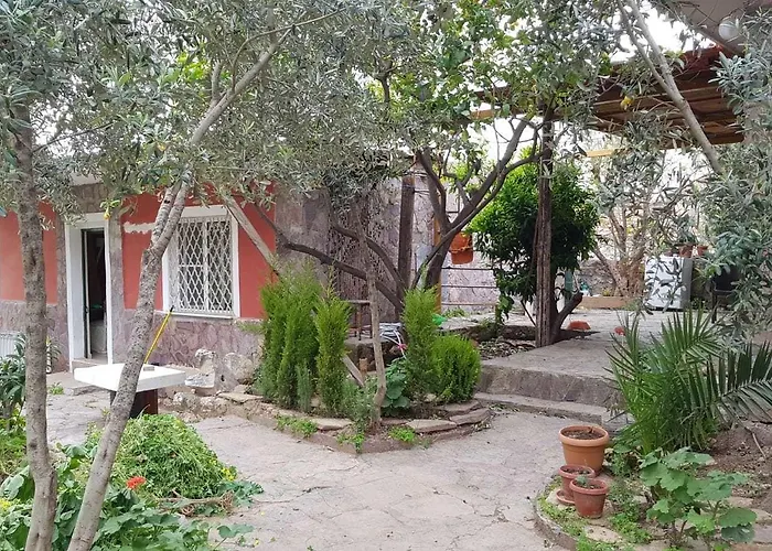 Medusa House Butik Ντιντίμ