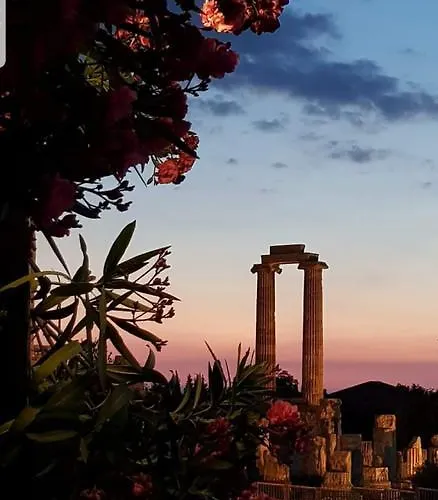Πανσιόν Medusa House Butik 3*